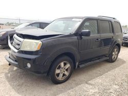 Honda salvage cars for sale: 2010 Honda Pilot EXL