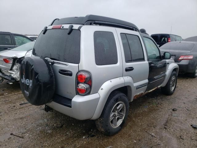 2004 Jeep Liberty Renegade