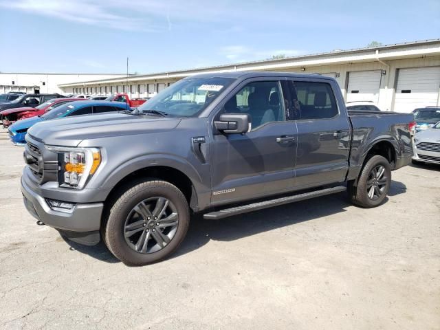 2023 Ford F150 Supercrew