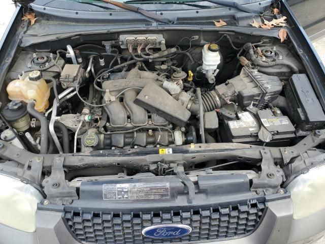 2006 Ford Escape XLT