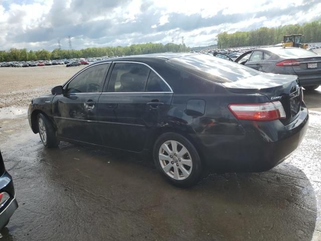 2009 Toyota Camry Hybrid