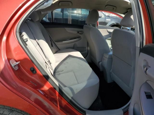 2011 Toyota Corolla Base