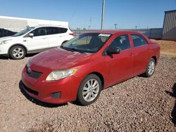 Salvage cars for sale at Phoenix, AZ auction: 2009 Toyota Corolla Base
