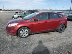 Salvage cars for sale at Ottawa, ON auction: 2013 Ford Focus SE