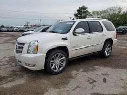 Salvage cars for sale from Copart Lexington, KY: 2013 Cadillac Escalade Platinum