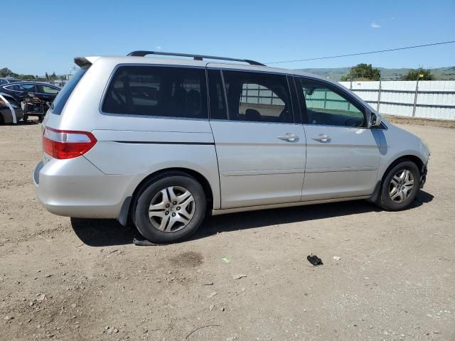 2005 Honda Odyssey EXL