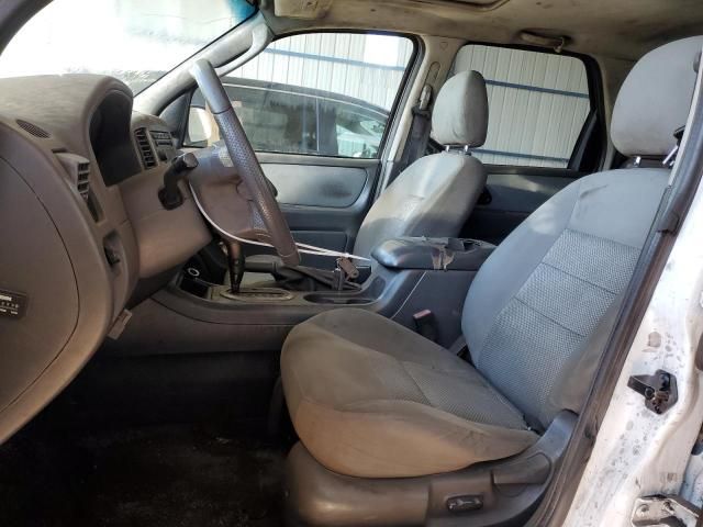 2006 Ford Escape XLT