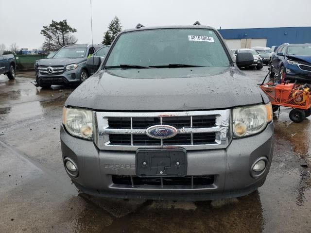 2009 Ford Escape XLT