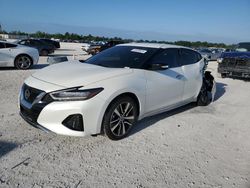 Salvage cars for sale at Arcadia, FL auction: 2022 Nissan Maxima SV