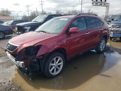 Salvage cars for sale at Columbus, OH auction: 2009 Lexus RX 350