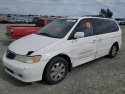 Salvage cars for sale at Antelope, CA auction: 2004 Honda Odyssey EX