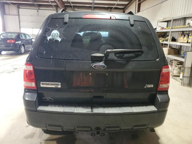 2011 Ford Escape XLT