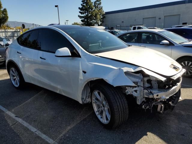 2020 Tesla Model Y