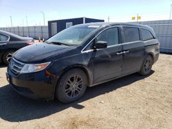 Salvage cars for sale from Copart Greenwood, NE: 2012 Honda Odyssey EXL