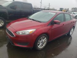 Ford Focus SE salvage cars for sale: 2015 Ford Focus SE