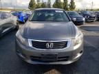 2008 Honda Accord EX