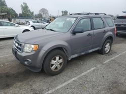 Salvage cars for sale at Van Nuys, CA auction: 2010 Ford Escape XLS