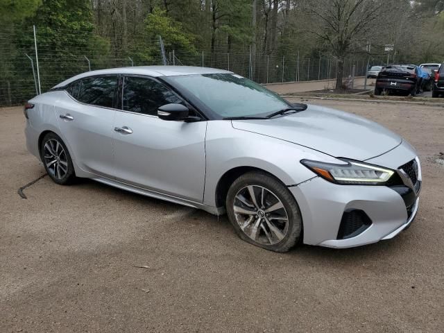 2019 Nissan Maxima S