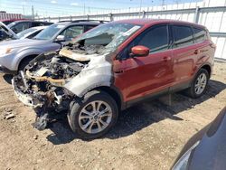 Burn Engine Cars for sale at auction: 2019 Ford Escape SE