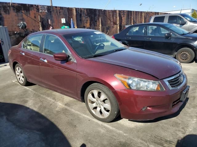 2008 Honda Accord EXL