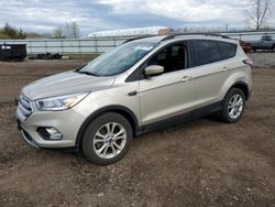 Salvage cars for sale at Columbia Station, OH auction: 2018 Ford Escape SEL