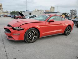 Salvage cars for sale at New Orleans, LA auction: 2019 Ford Mustang