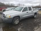 2007 Dodge Dakota Quattro