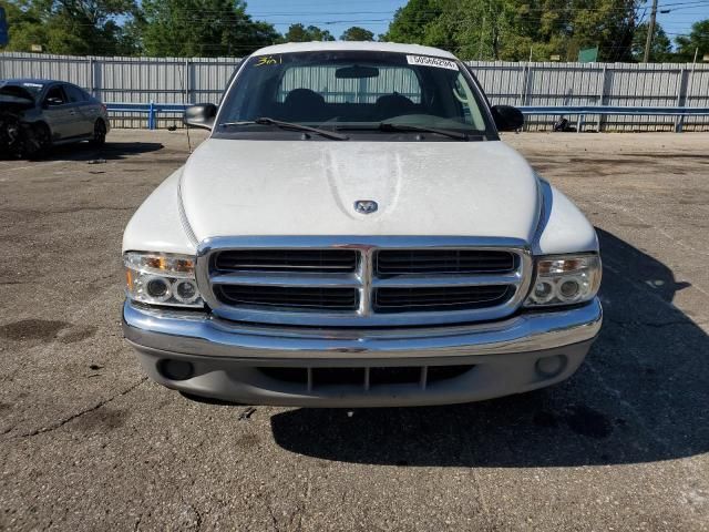 2001 Dodge Dakota Quattro