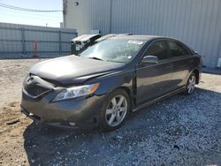 Salvage cars for sale at Jacksonville, FL auction: 2008 Toyota Camry CE