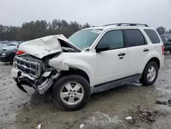 Salvage cars for sale at Mendon, MA auction: 2010 Ford Escape XLT