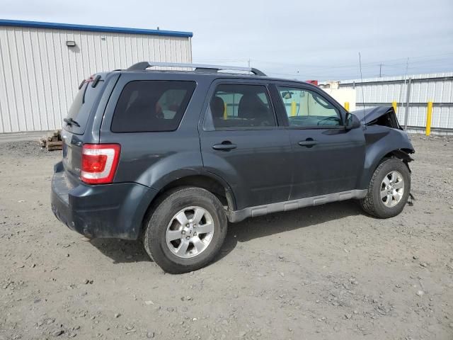 2009 Ford Escape Limited