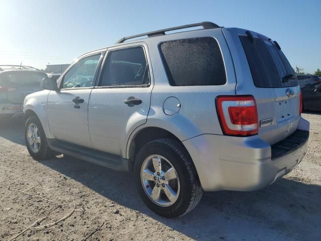 2011 Ford Escape XLT