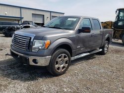 Salvage cars for sale at Earlington, KY auction: 2012 Ford F150 Supercrew