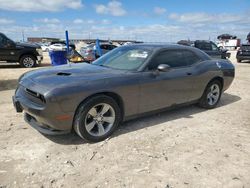 Salvage cars for sale from Copart Haslet, TX: 2019 Dodge Challenger SXT