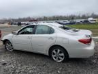 2005 Lexus ES 330