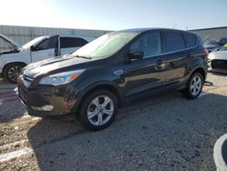 Salvage cars for sale from Copart Arcadia, FL: 2014 Ford Escape SE