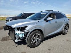 Salvage cars for sale at Sacramento, CA auction: 2024 Lexus RX 350 Base