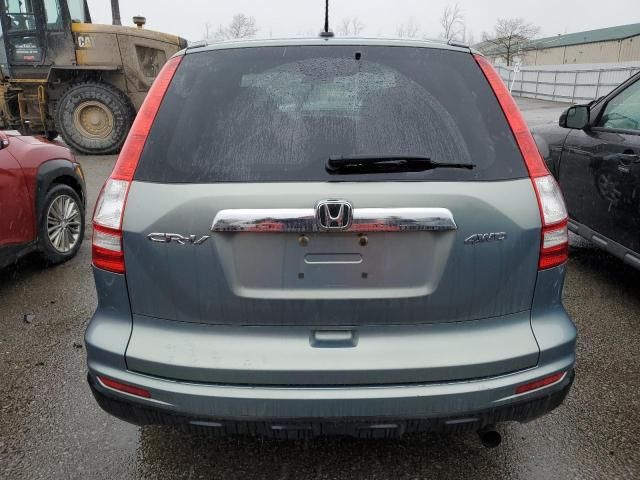 2010 Honda CR-V EXL