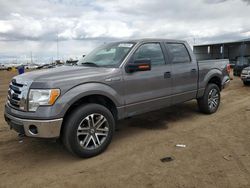 Salvage cars for sale at Brighton, CO auction: 2010 Ford F150 Supercrew