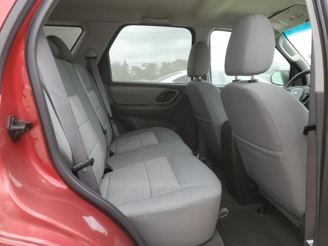 2007 Ford Escape XLT