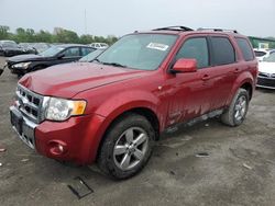 Ford Escape Limited salvage cars for sale: 2008 Ford Escape Limited