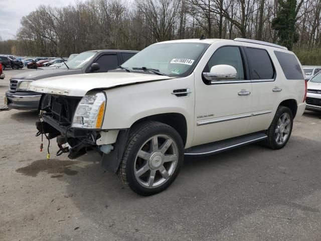 2011 Cadillac Escalade Luxury