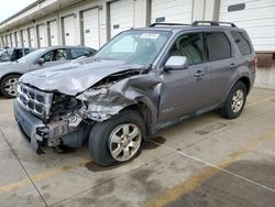 Salvage cars for sale from Copart Louisville, KY: 2008 Ford Escape Limited