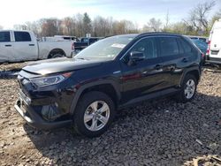 Salvage cars for sale from Copart Chalfont, PA: 2019 Toyota Rav4 XLE