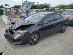 Salvage cars for sale at Riverview, FL auction: 2019 Toyota Corolla L