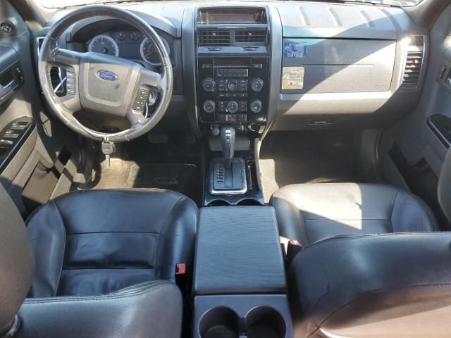 2008 Ford Escape Limited