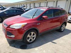 Ford Escape se salvage cars for sale: 2013 Ford Escape SE