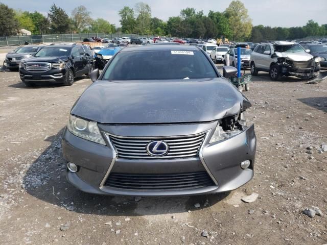 2013 Lexus ES 300H