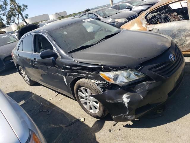 2009 Toyota Camry Hybrid