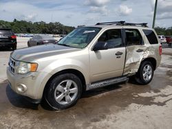 Salvage cars for sale at Apopka, FL auction: 2010 Ford Escape XLT